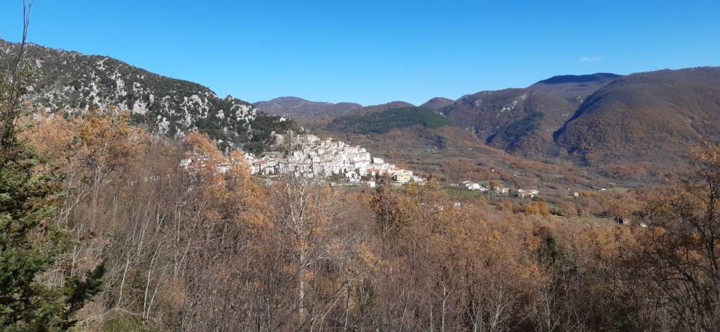 Questa immagine ha l'attributo alt vuoto; il nome del file è foto-da-alessandro-nusco1-1.jpg