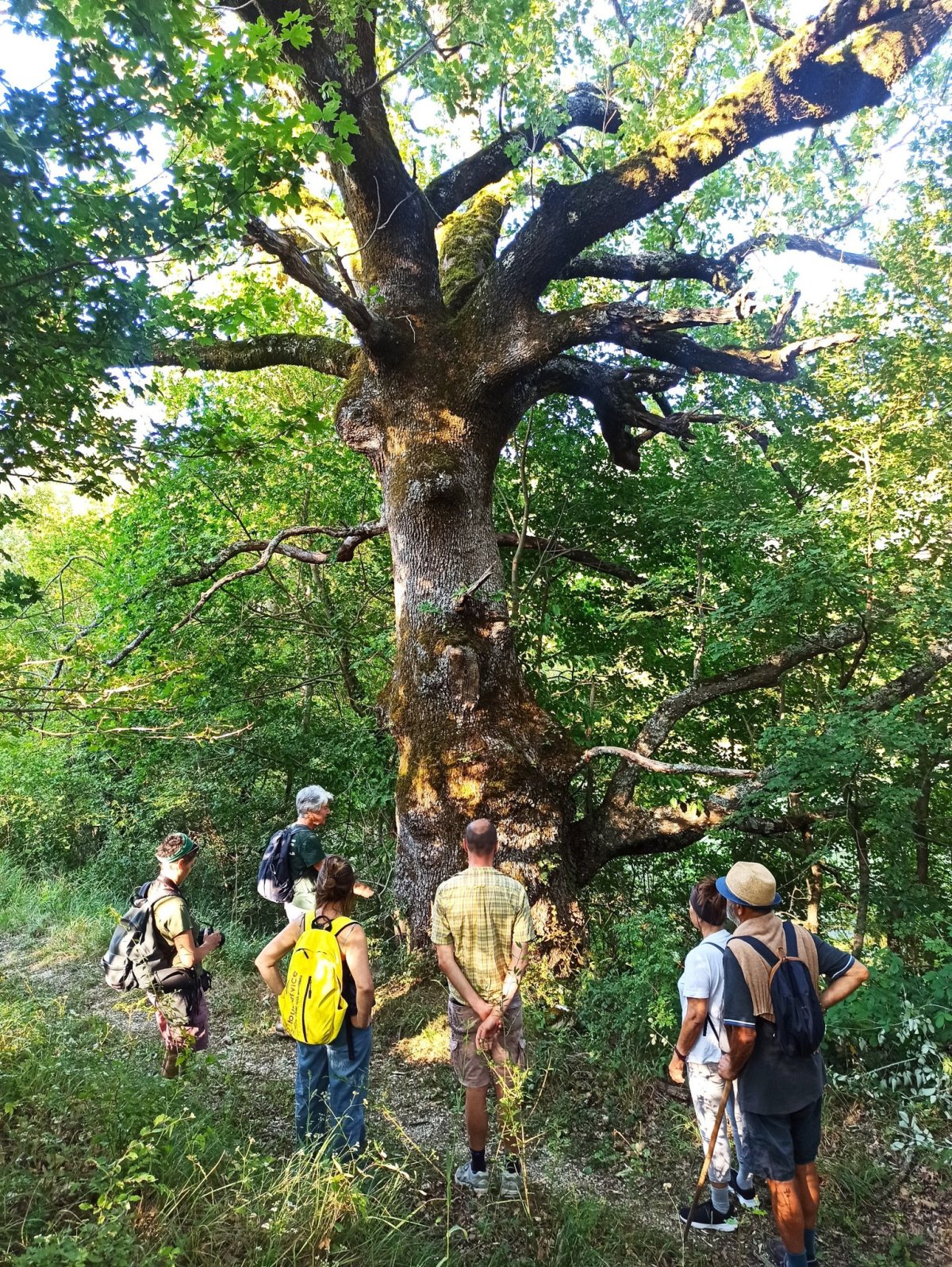 Passeggiate agosto 2025