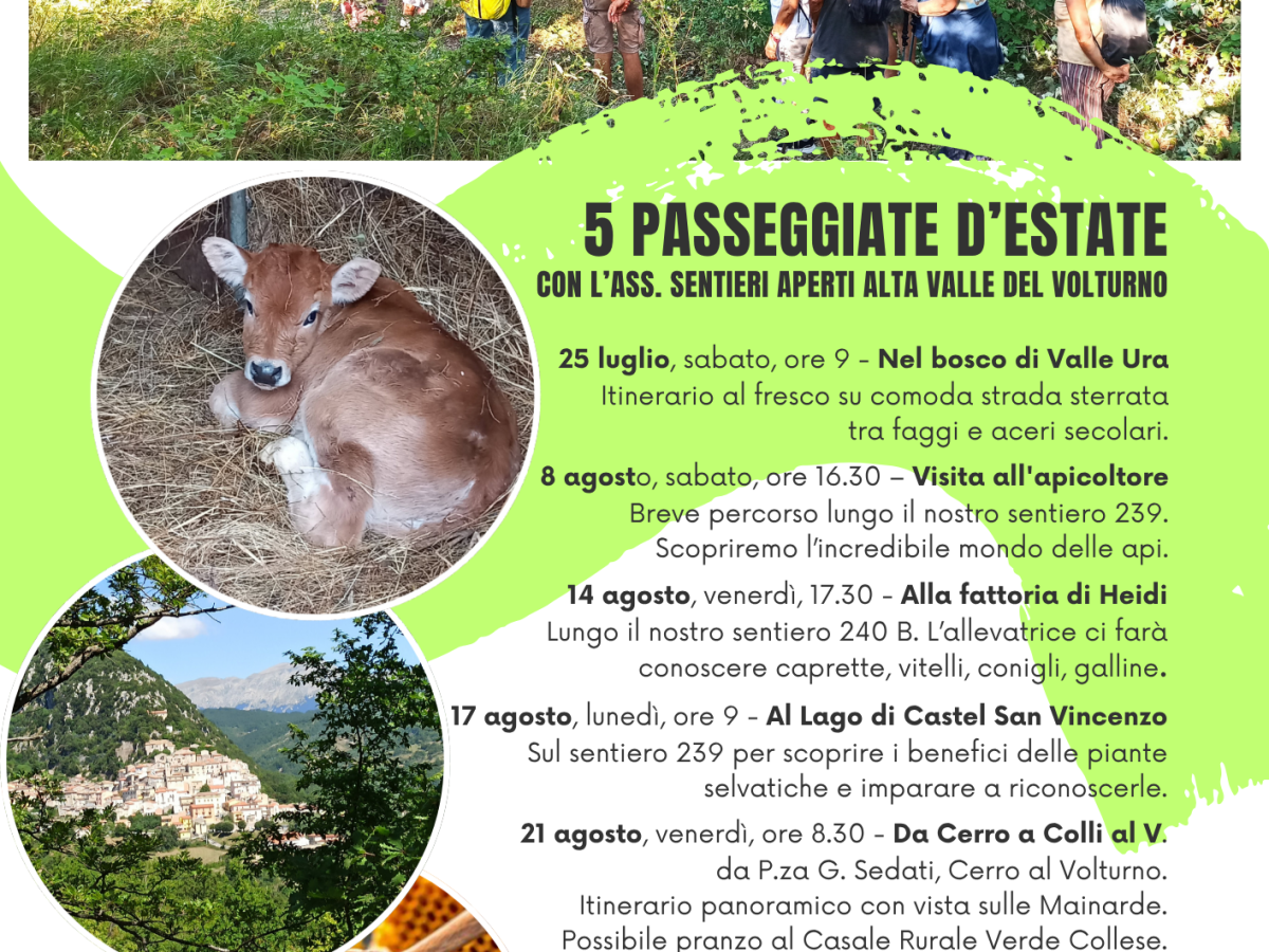 5 Passeggiate d’Estate