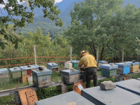 Visita all’apicoltore, 8&nbsp;agosto